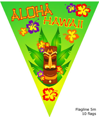 vlaggenlijn aloha hawaii 5 meter