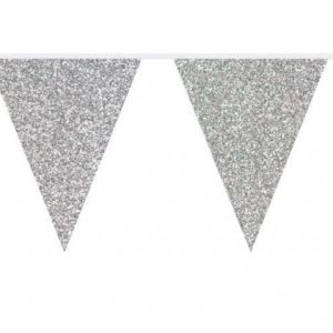 Vlaggenlijn Glitter Zilver 6 meter